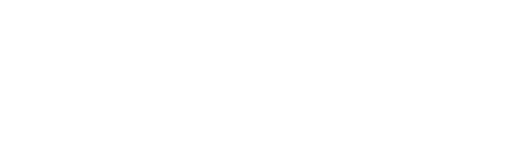 Dell Technologies Platinum Partner